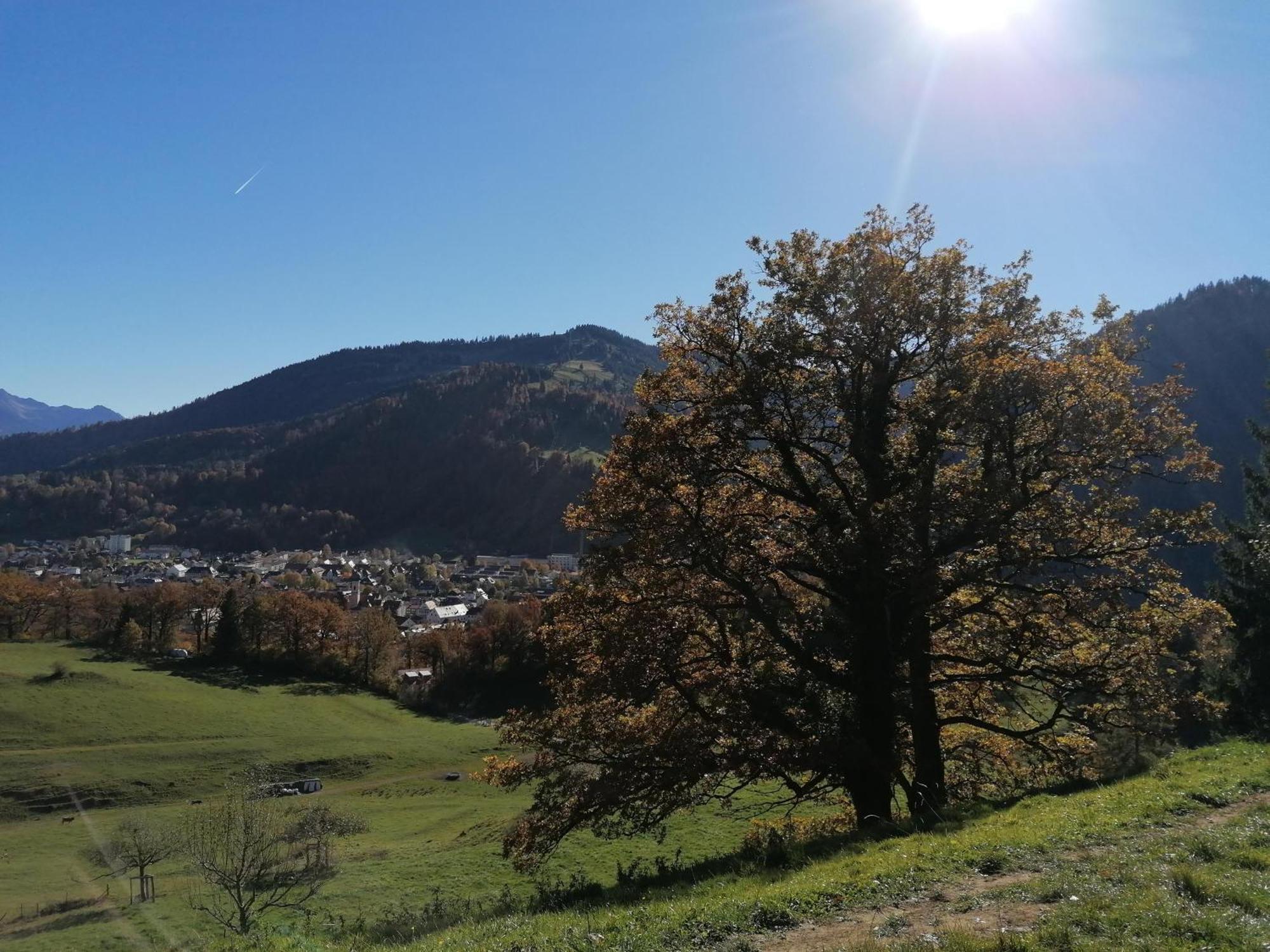 Landhaus Auf Der Hoeh Immenstadt im Allgäu Esterno foto